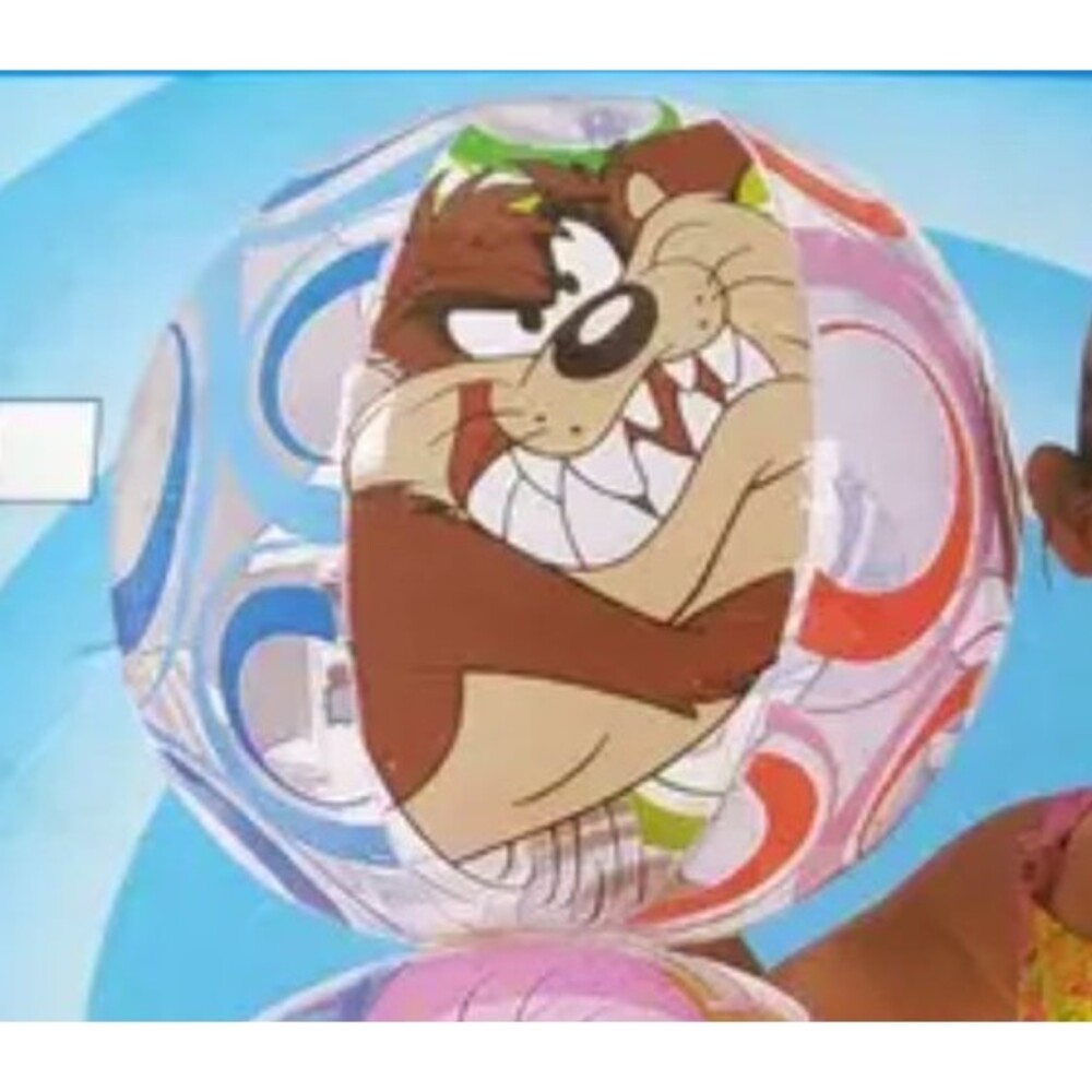Vintage 2000 Looney Tunes 20’’ Taz/Tweety/Sylvester Beach Ball The Wet Set Intex